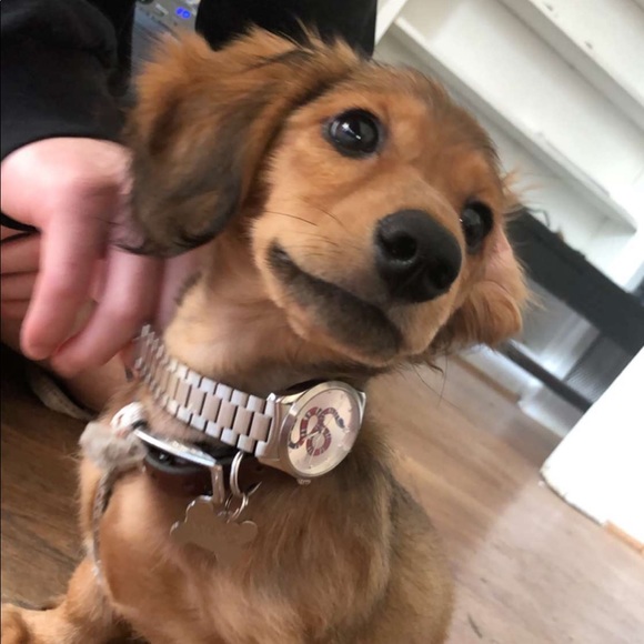 Meet your Posher, Alex - Picture 1 of 1